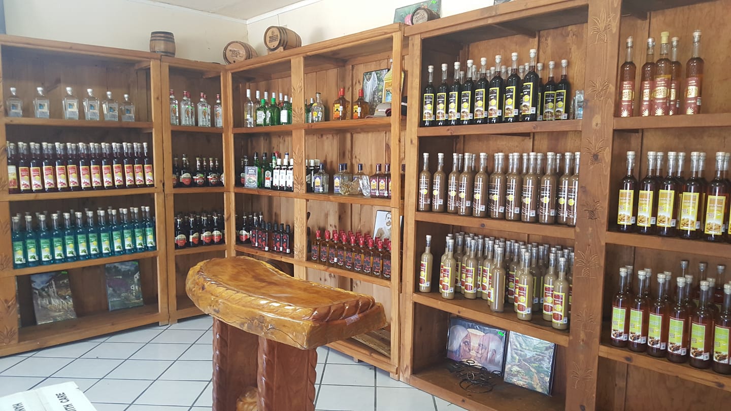 Tequila Factory Rocky Point Bird Island Tour